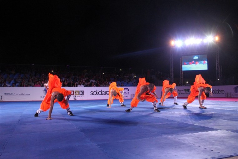 Martial Arts Festival